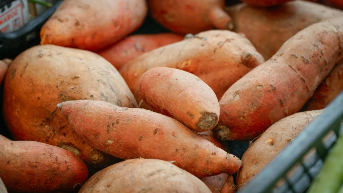 A pile of sweet potatoes in a basket