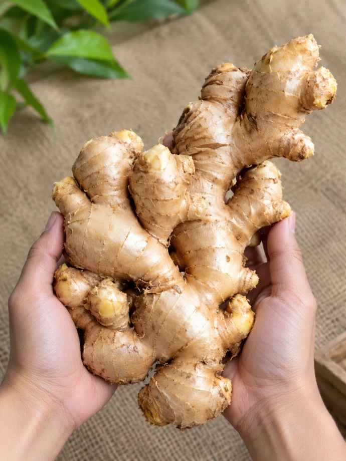 Fresh ginger